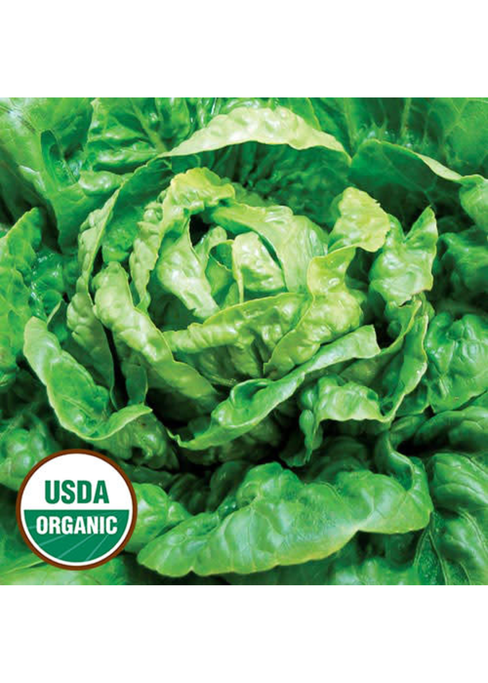 https://cdn.shoplightspeed.com/shops/643955/files/41624741/1652x2313x2/seed-savers-winter-density-lettuce-seeds.jpg