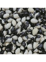 Seed Savors Exchange Calypso Bean