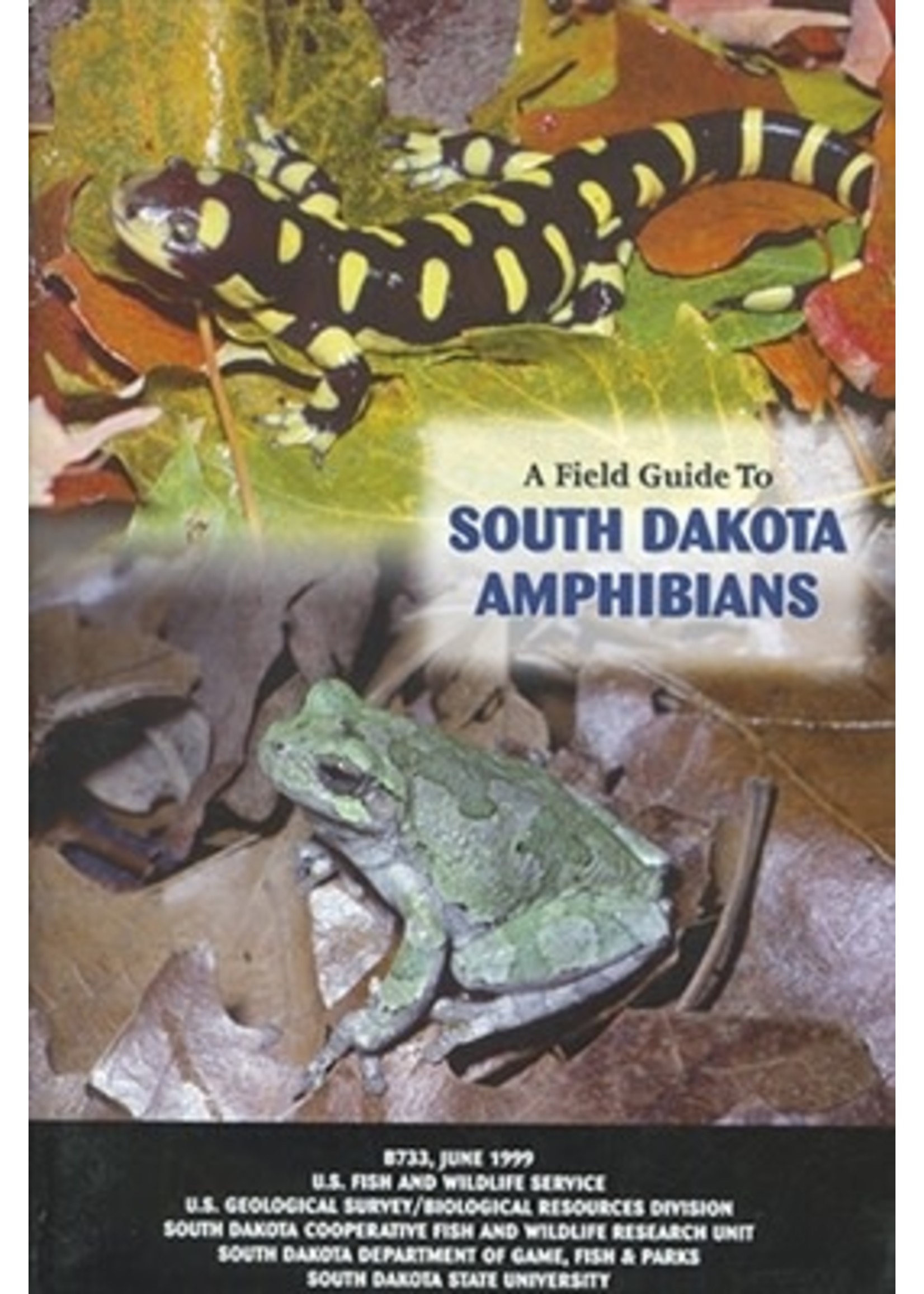 Field Guide to SD Amphibians