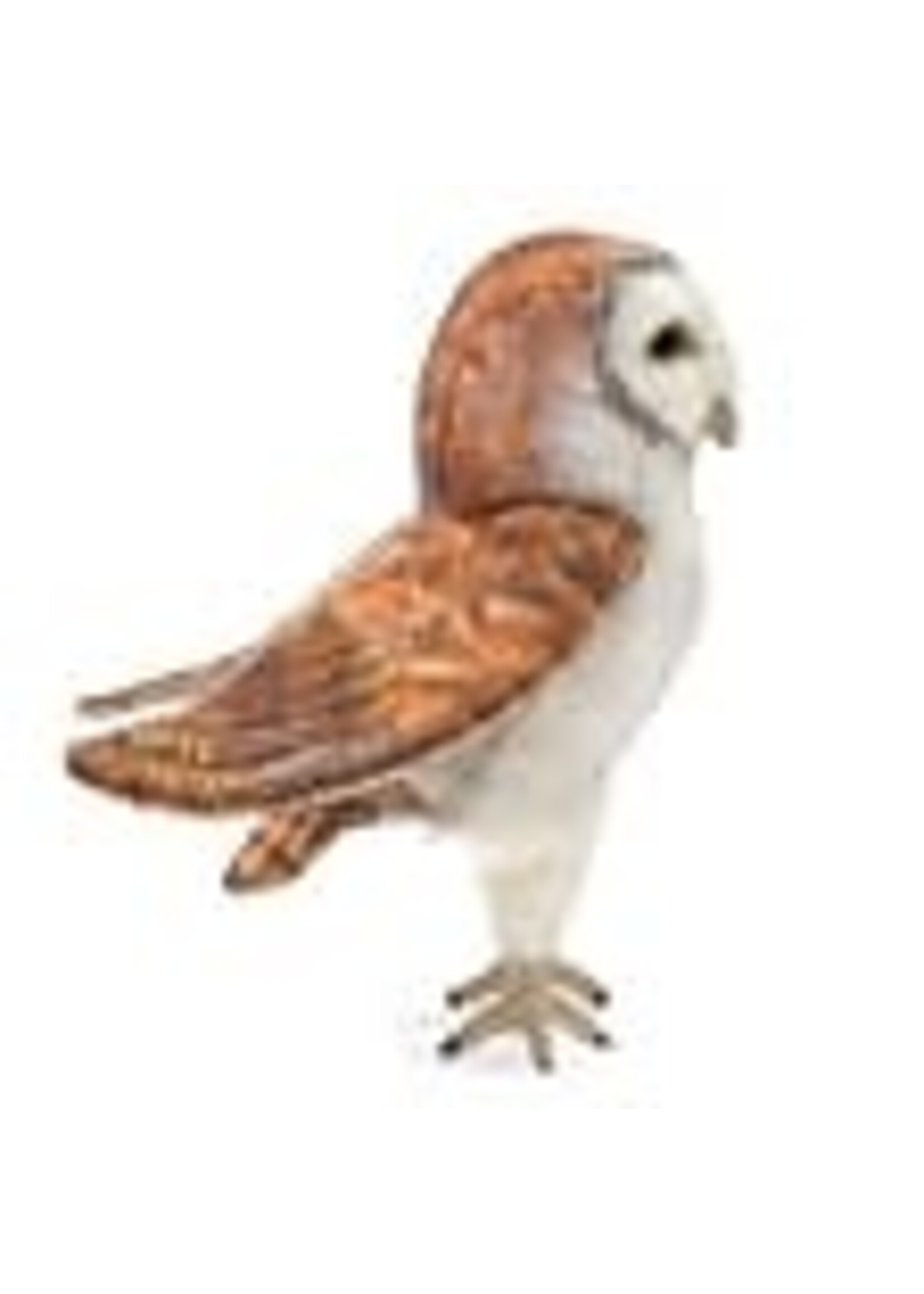 Folkmanis Puppets Folkmanis Barn Owl Puppet