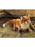 Folkmanis Puppets Folkmanis Red Fox Puppet