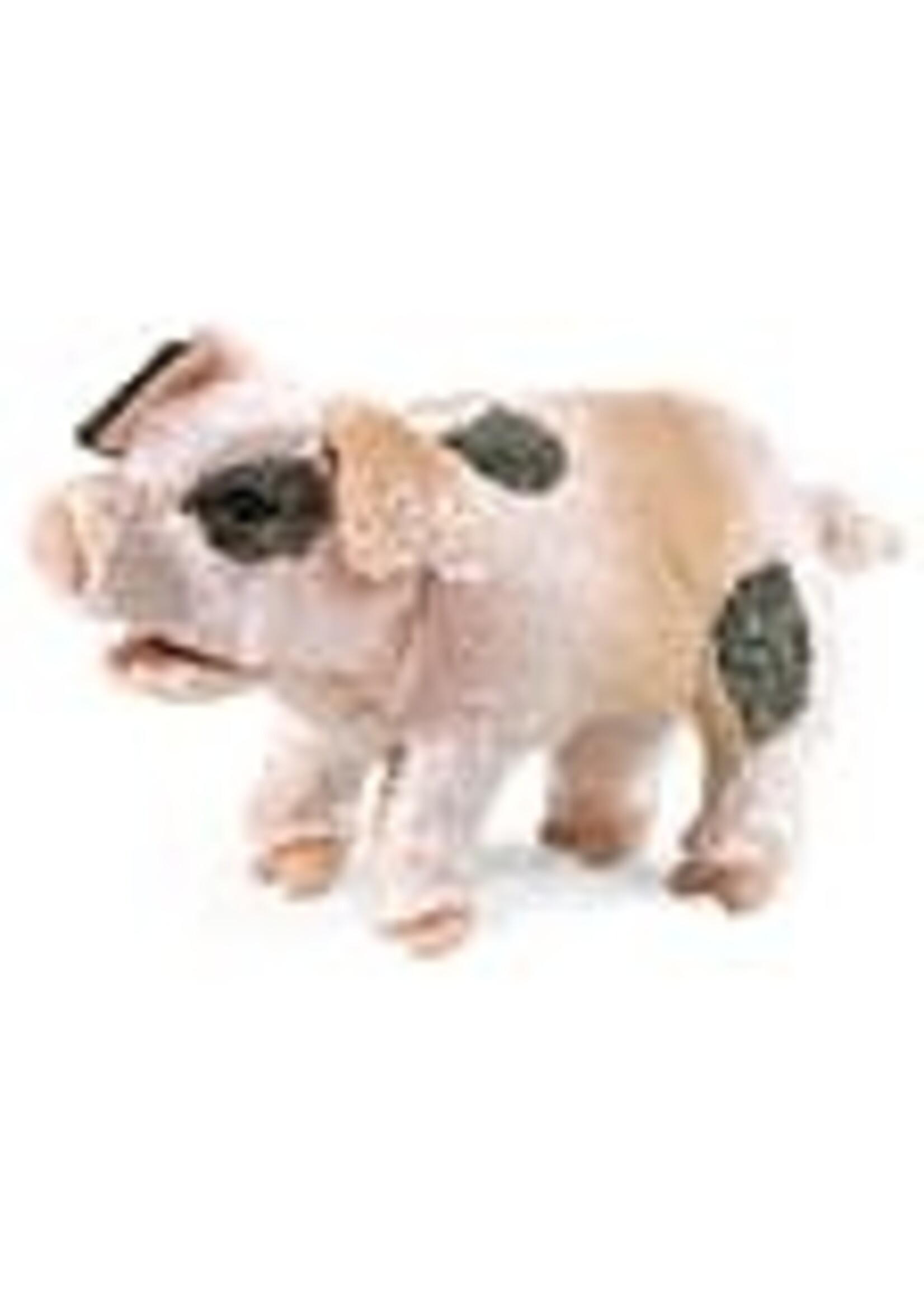 Folkmanis Puppets Folkmanis Grunting Pig Puppet