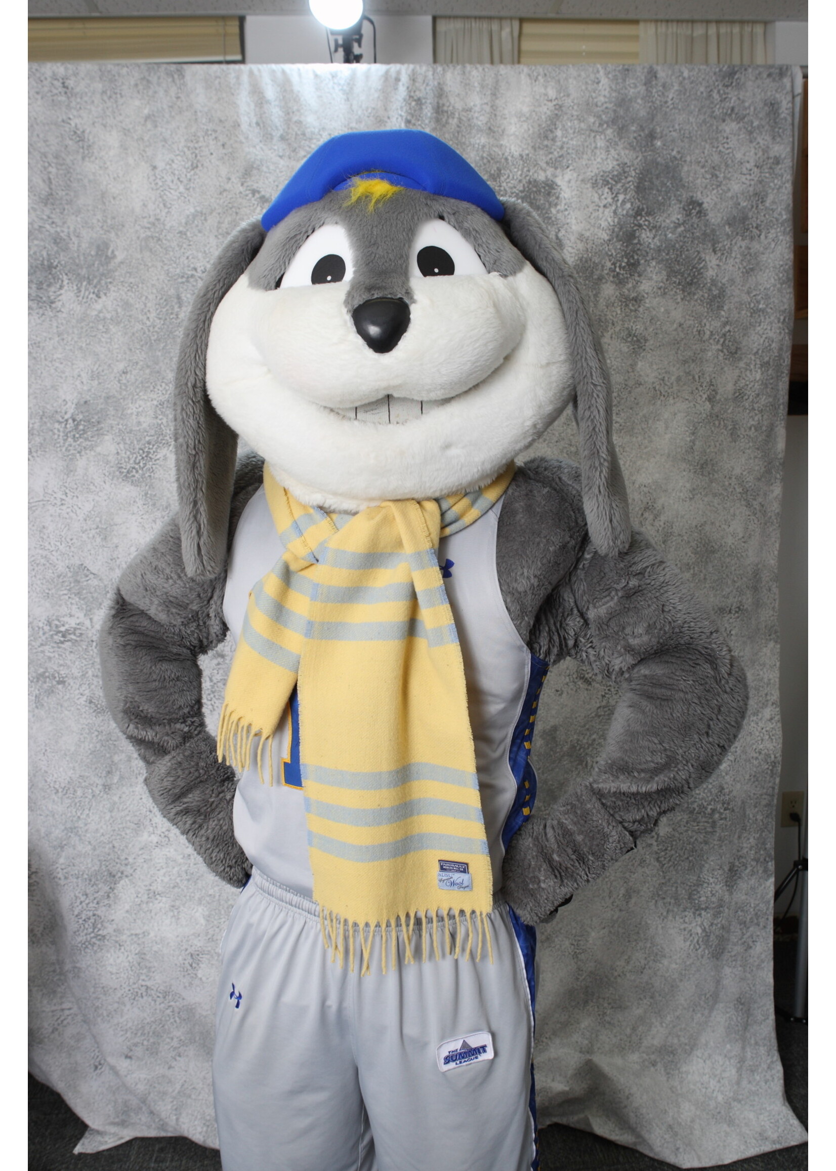 SDSU Signature Wool SDSU Signature Wool Scarf