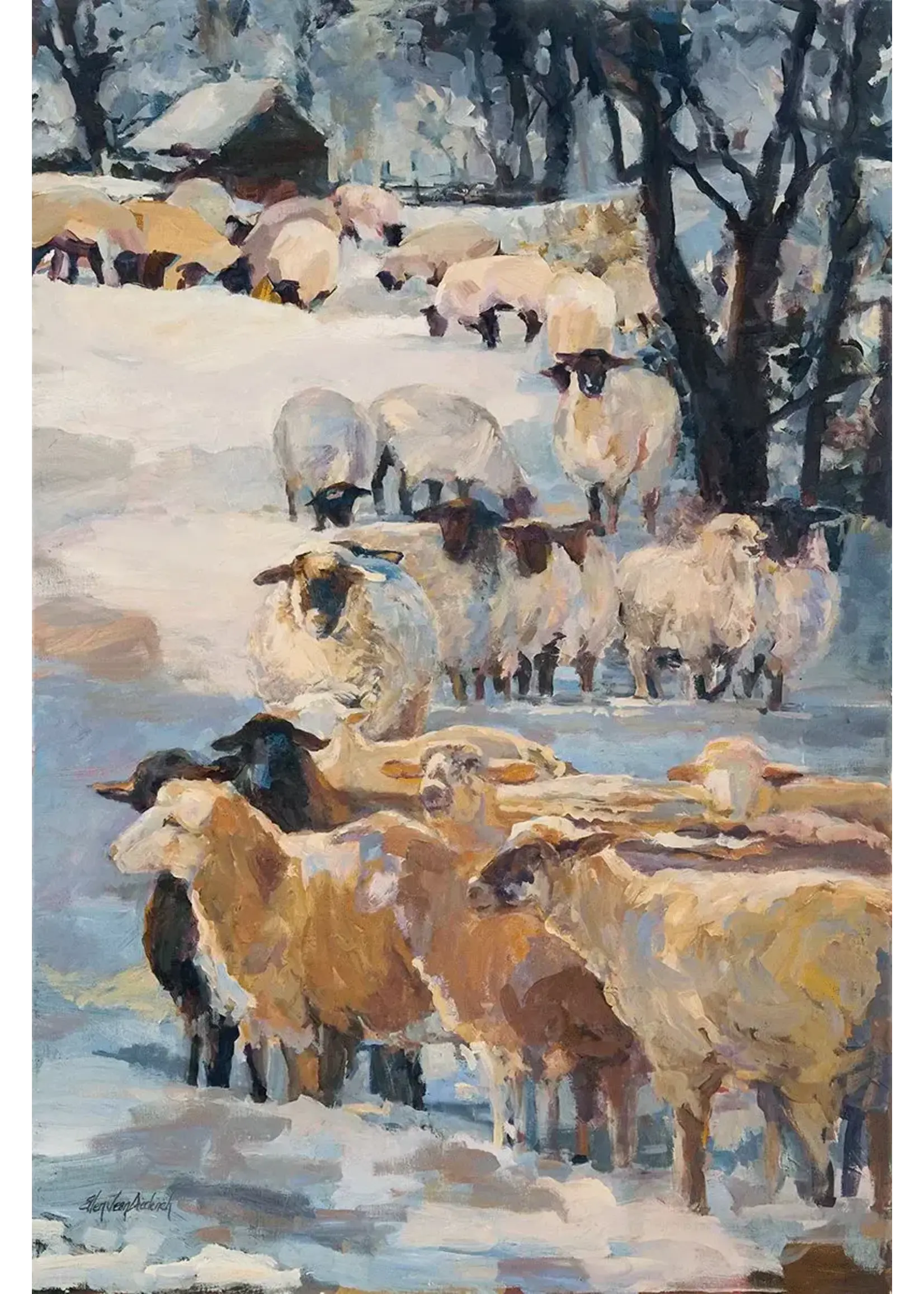 Givinity Press Givinity Winter Wool set of 8 notecards & envelopes