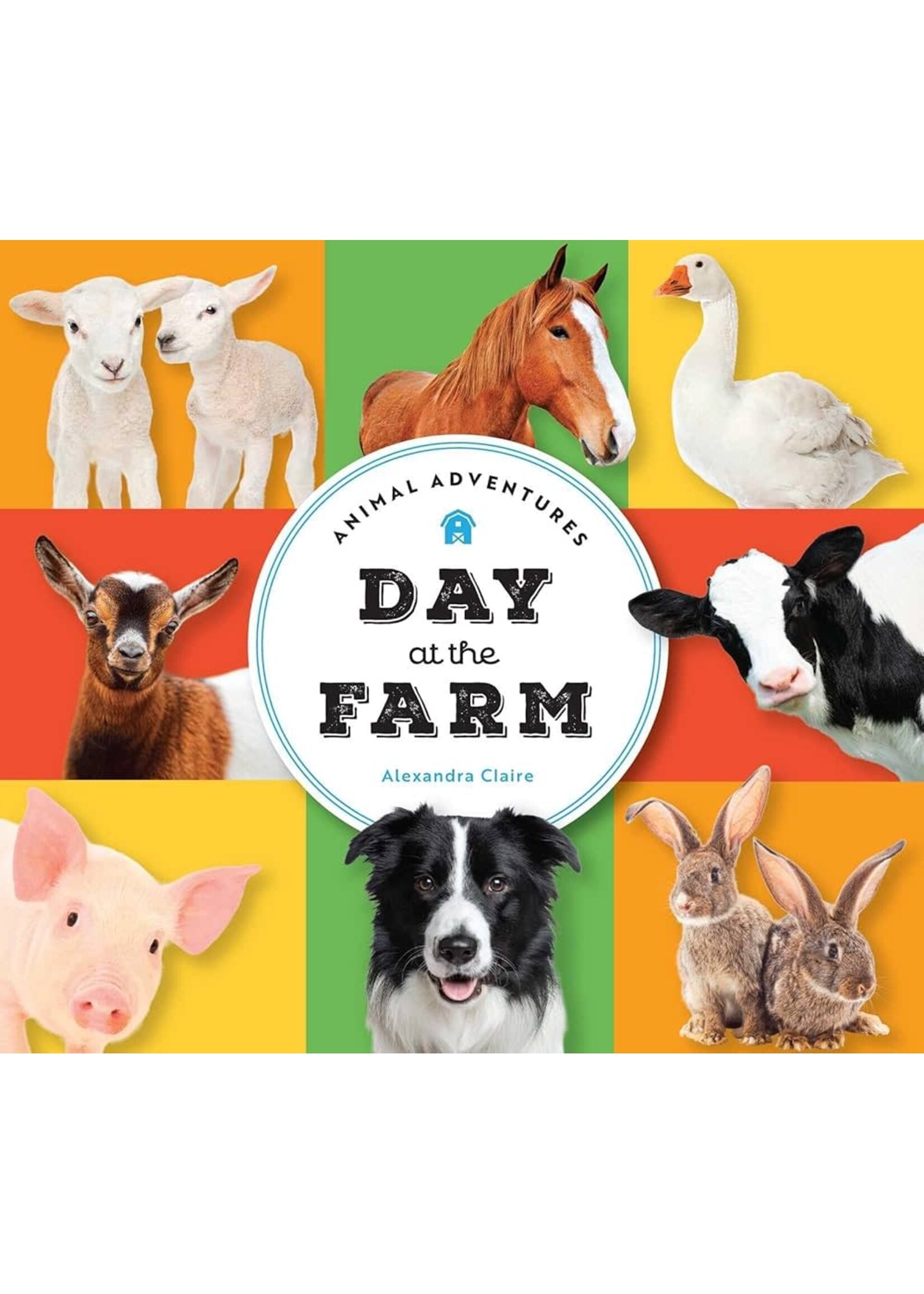 Simon and Schuster Animal Adventures: Day at the Farm