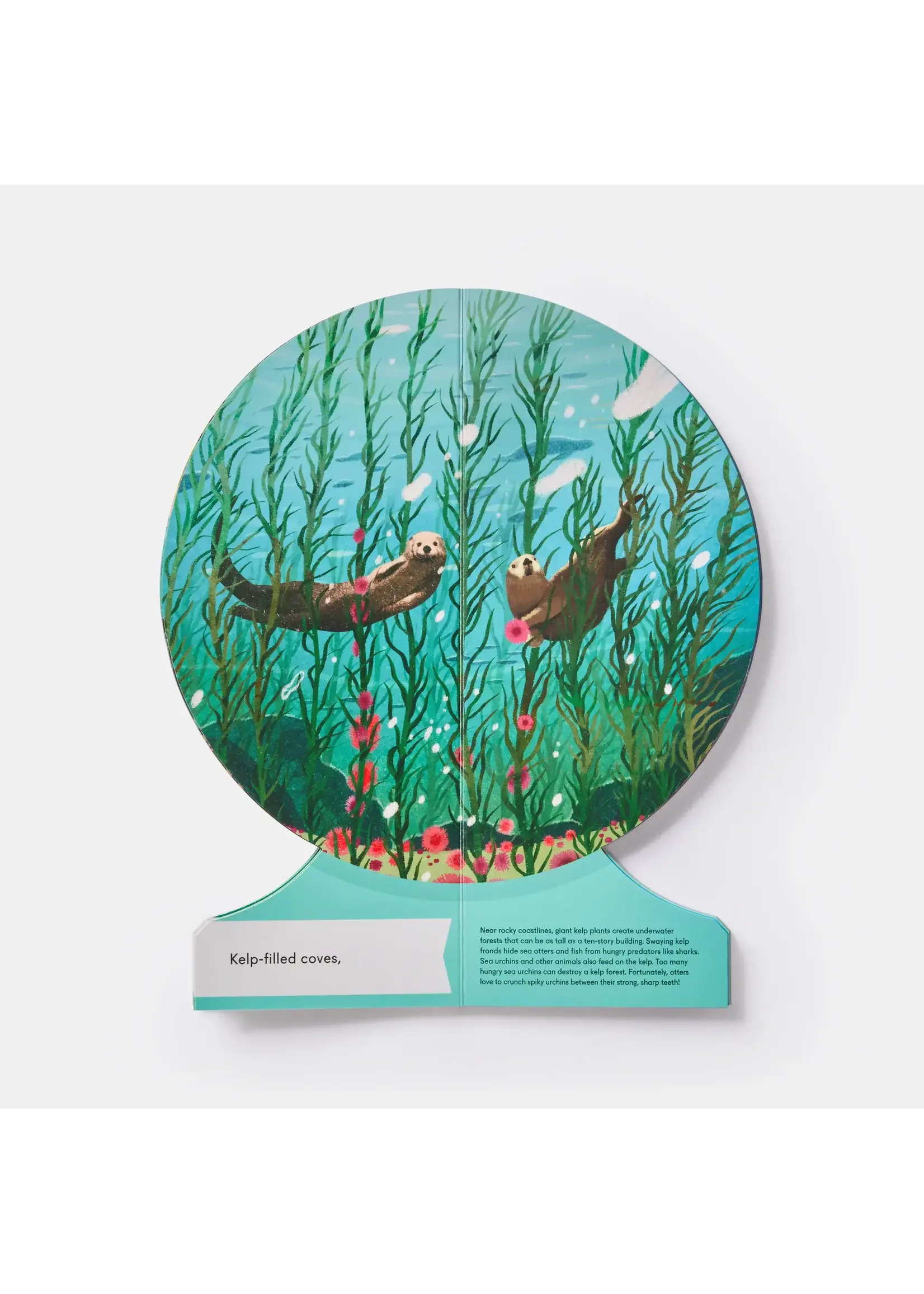 Our Underwater World: A First Dive into Oceans, Lakes, and Rivers by Sue Lowell Gallion