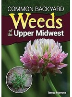 Common backyard weeds