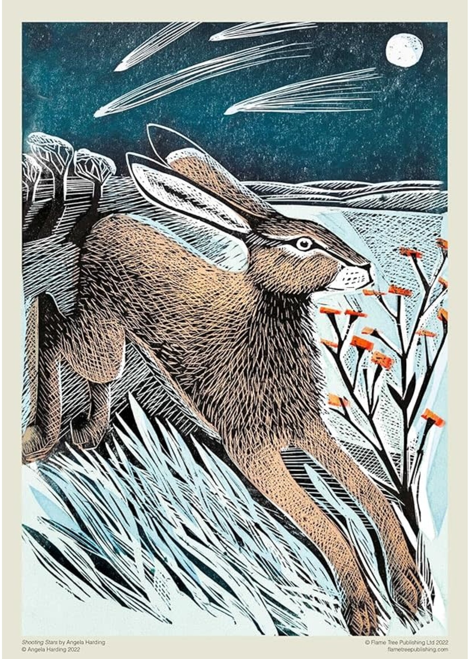 Shooting Stars/Jackrabbit 1000 pc Puzzle