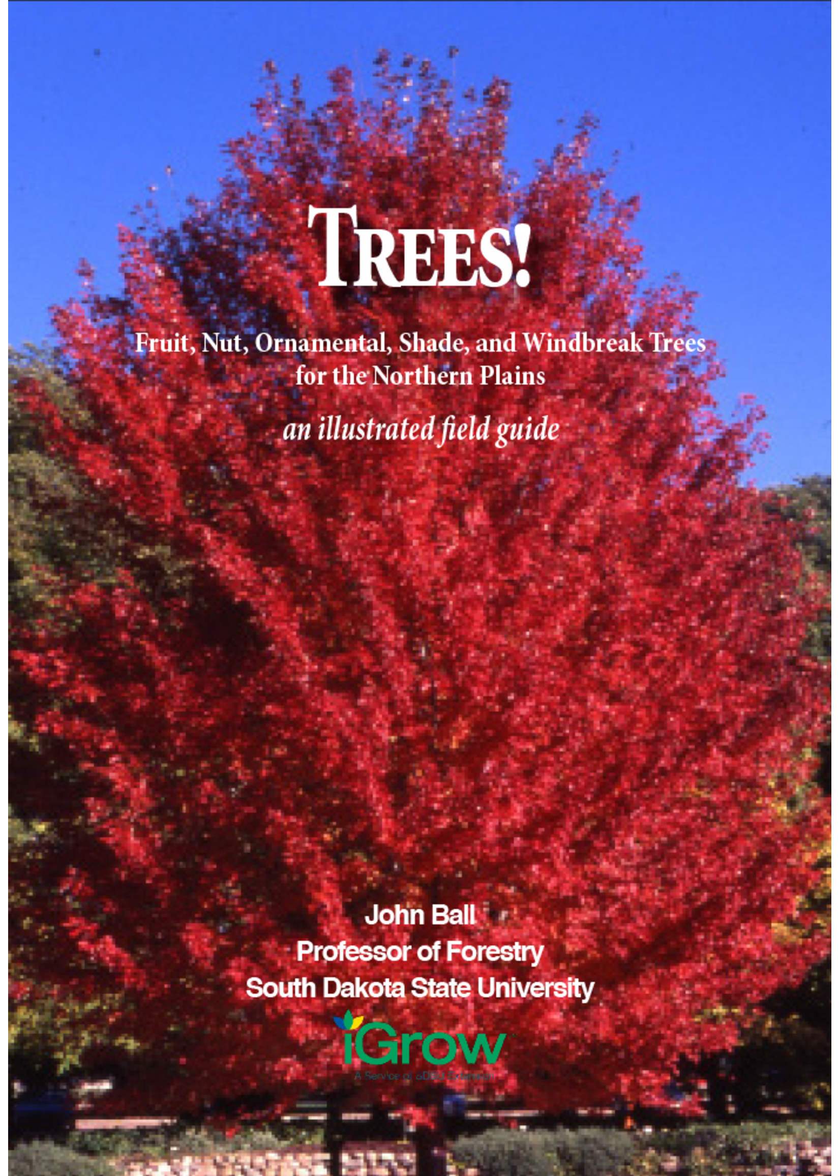 Trees! An Illustrated Field Guide