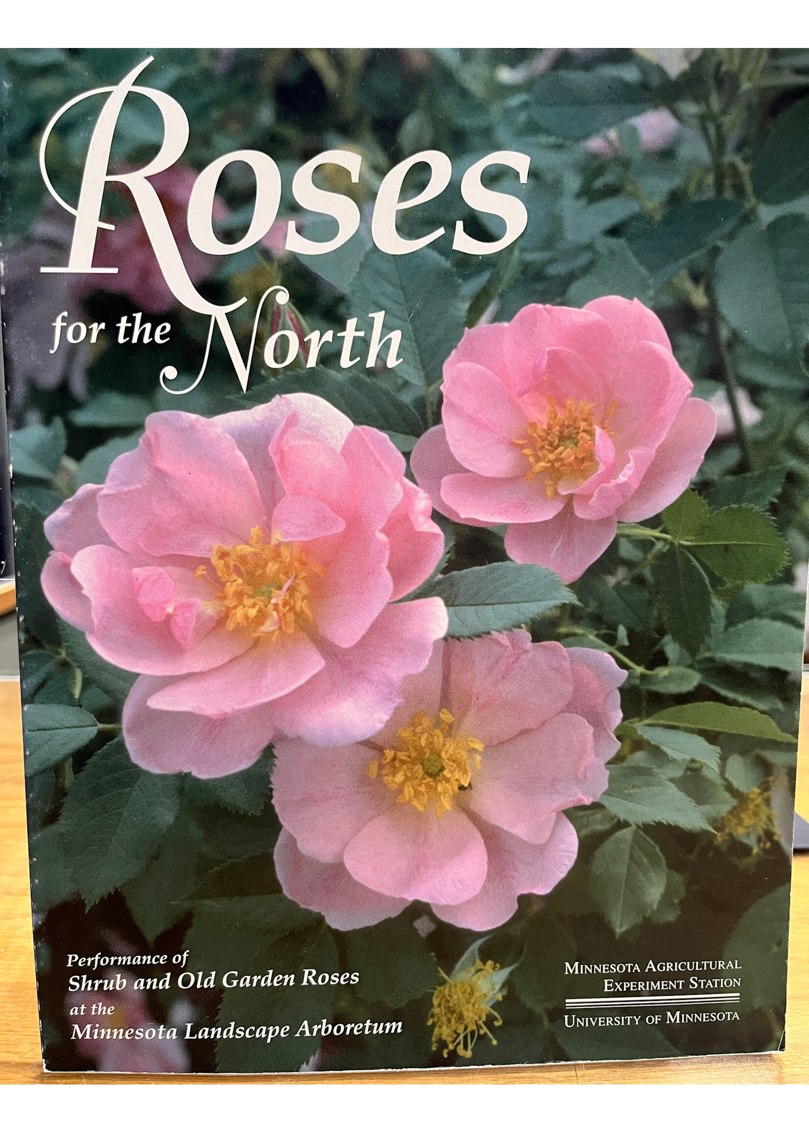 ROSES FOR THE NORTH