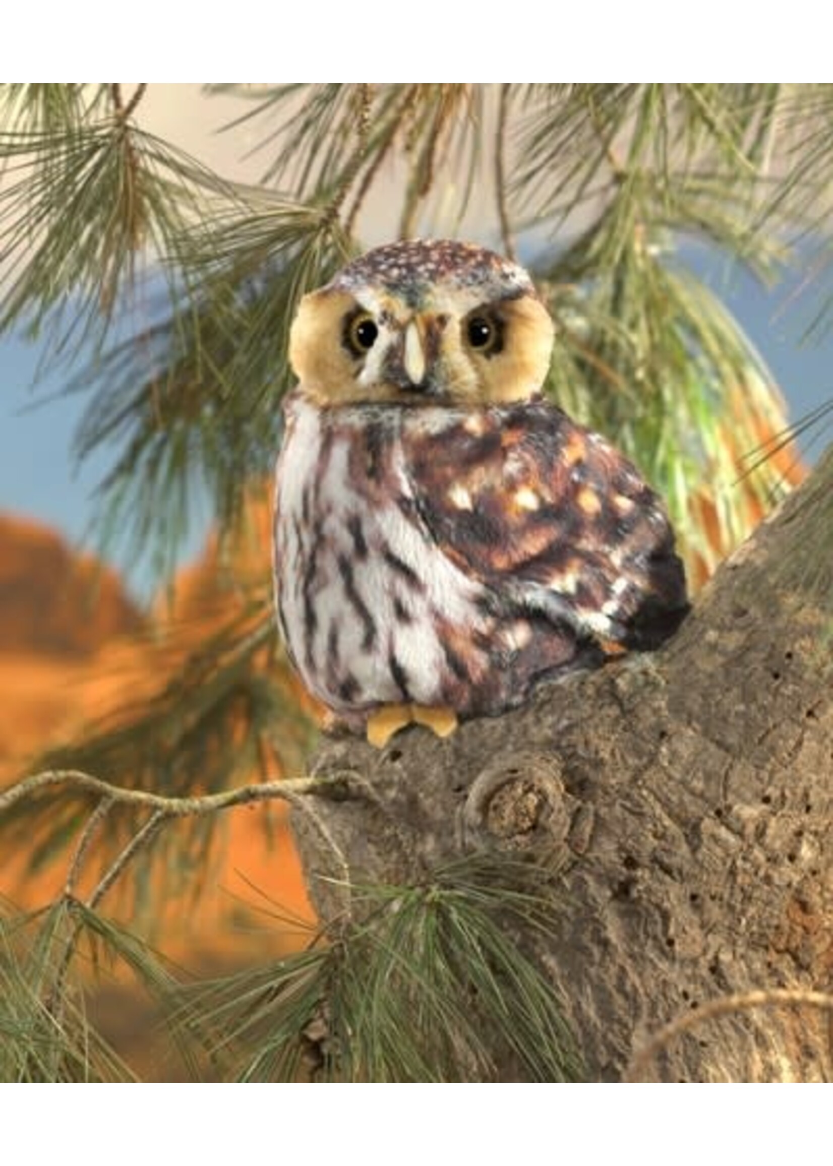 Folkmanis Puppets Folkmanis Pygmy Owl