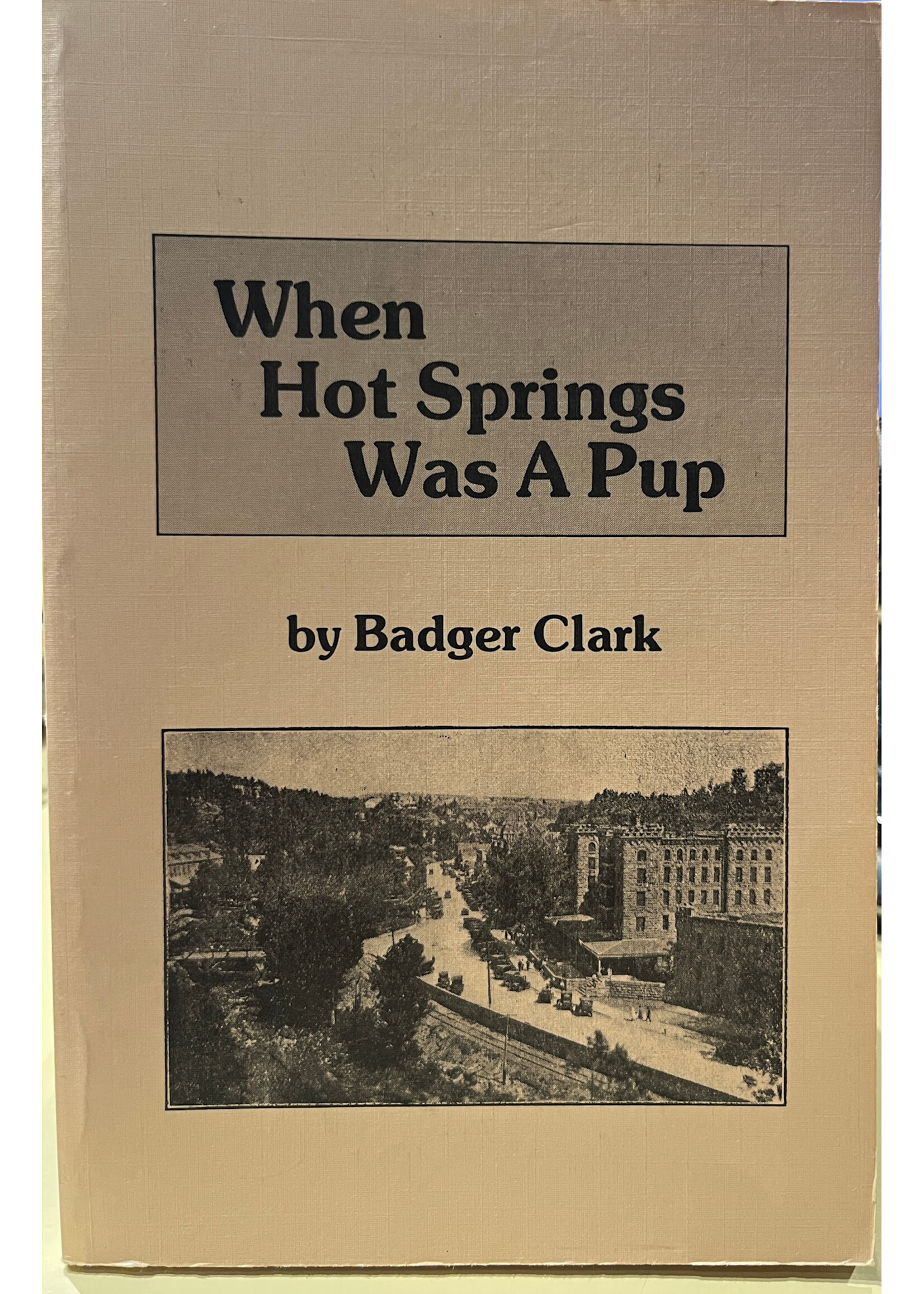 WHEN HOT SPRINGS/PUP