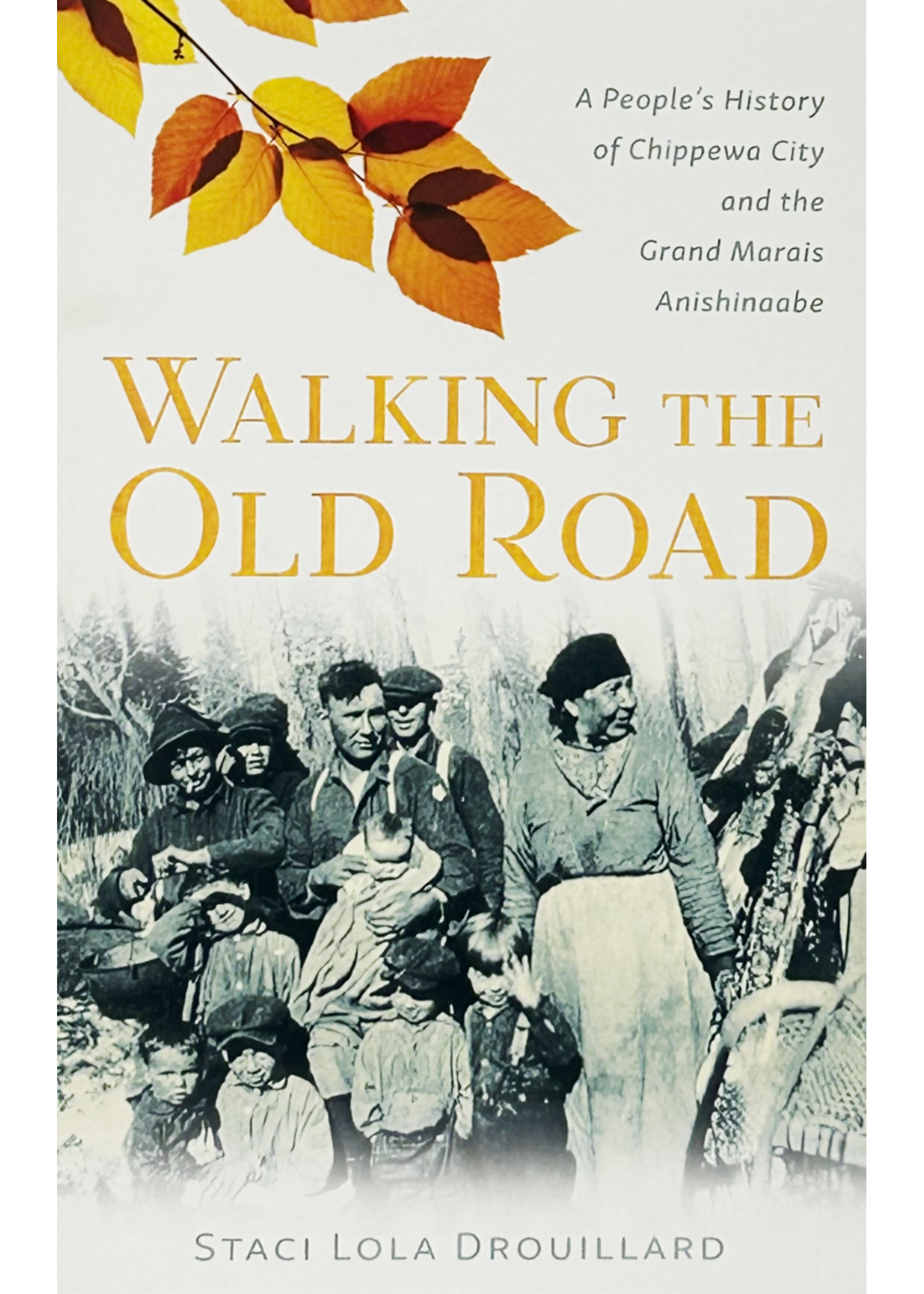 Walking the Old Road by Staci Lola Drouillard