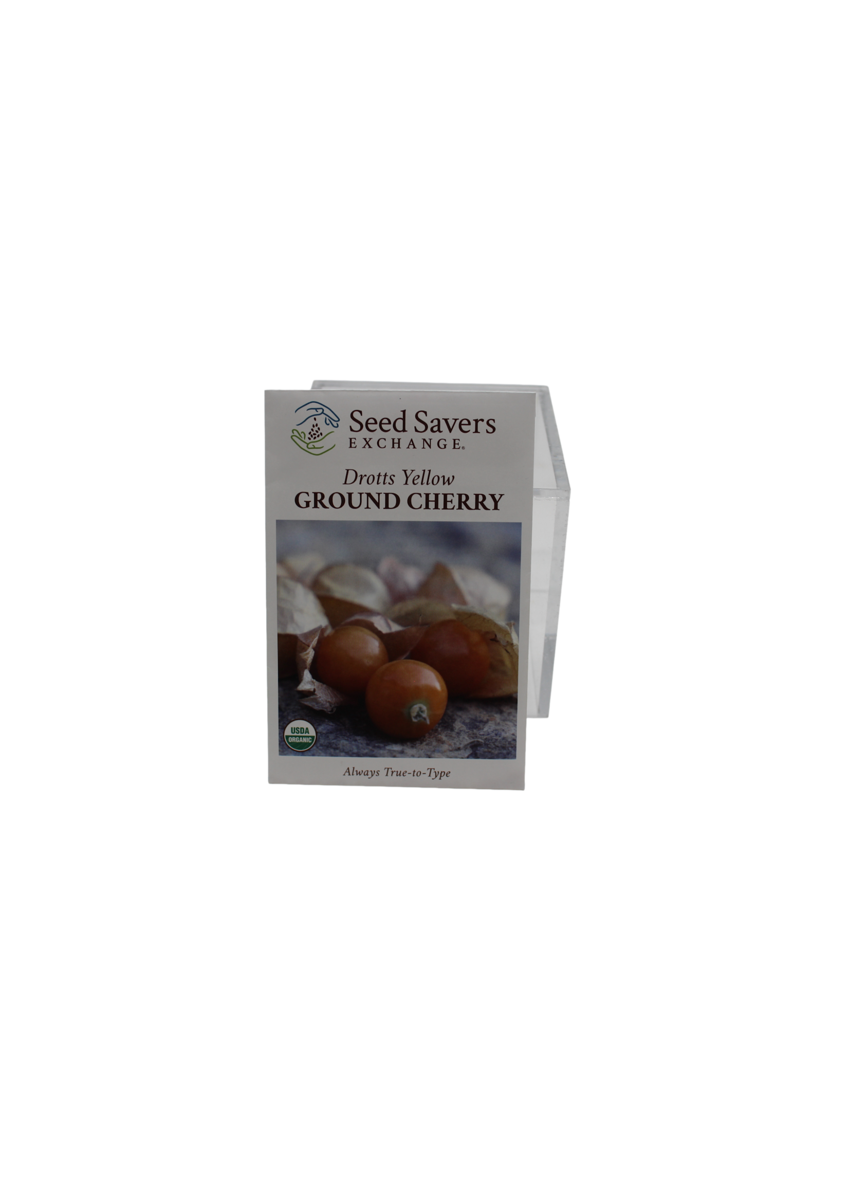 Seed Savors Exchange Seed Savers Drotts Yellow Ground Cherry