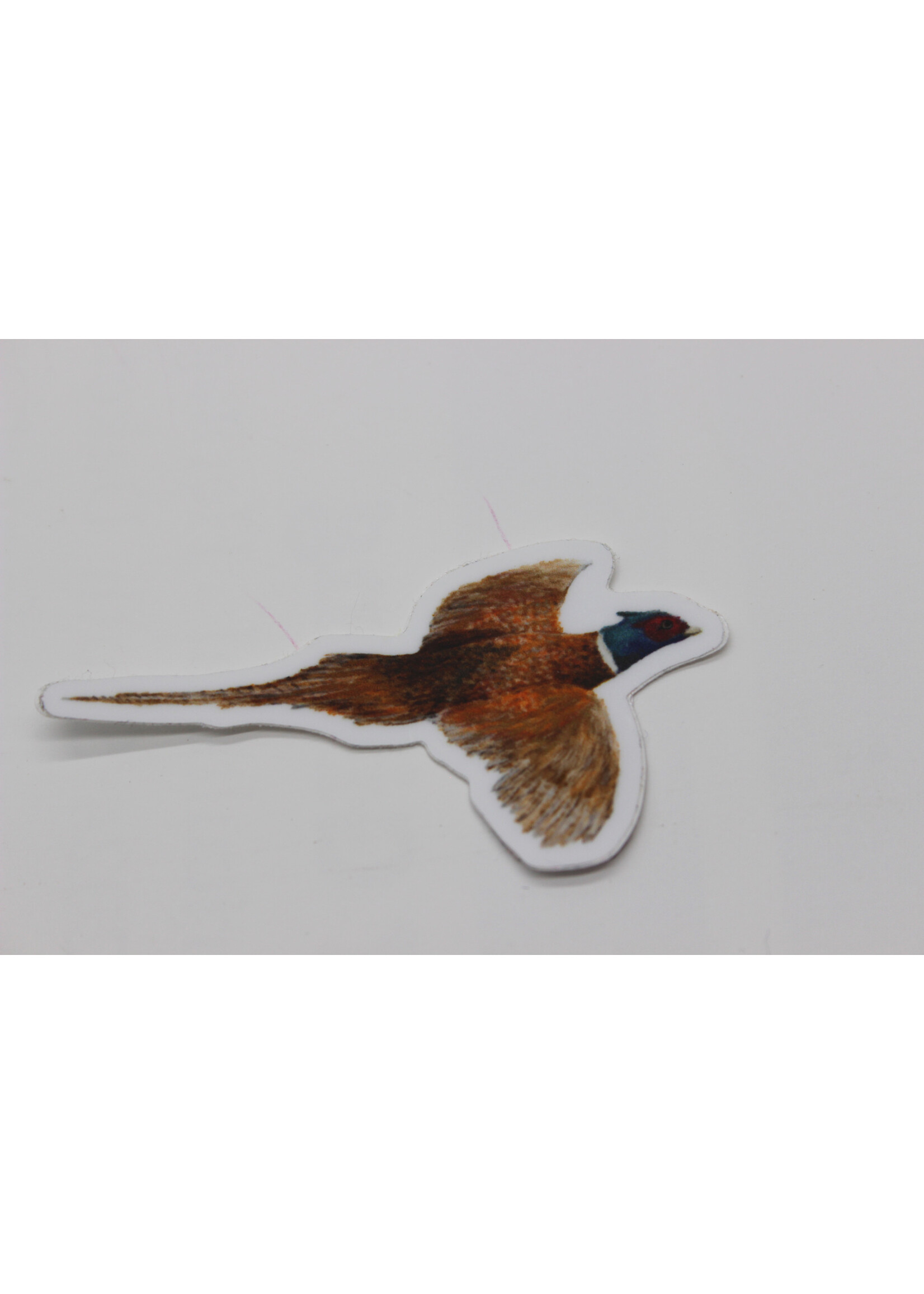 Kevin & Kaia Pheasant Flying-Sticker