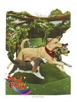 Swing Card-Dogs in Park