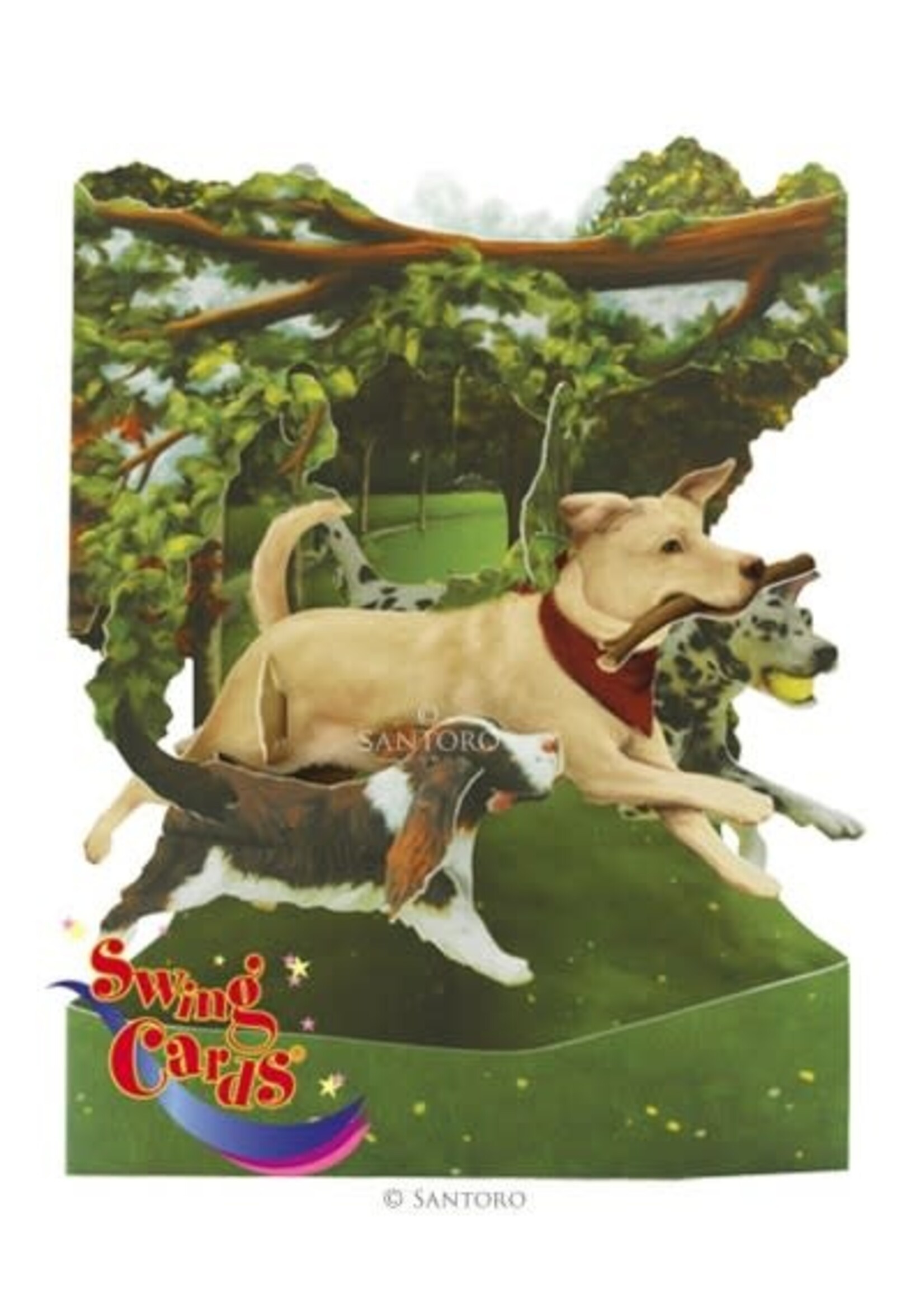 Swing Card-Dogs in Park