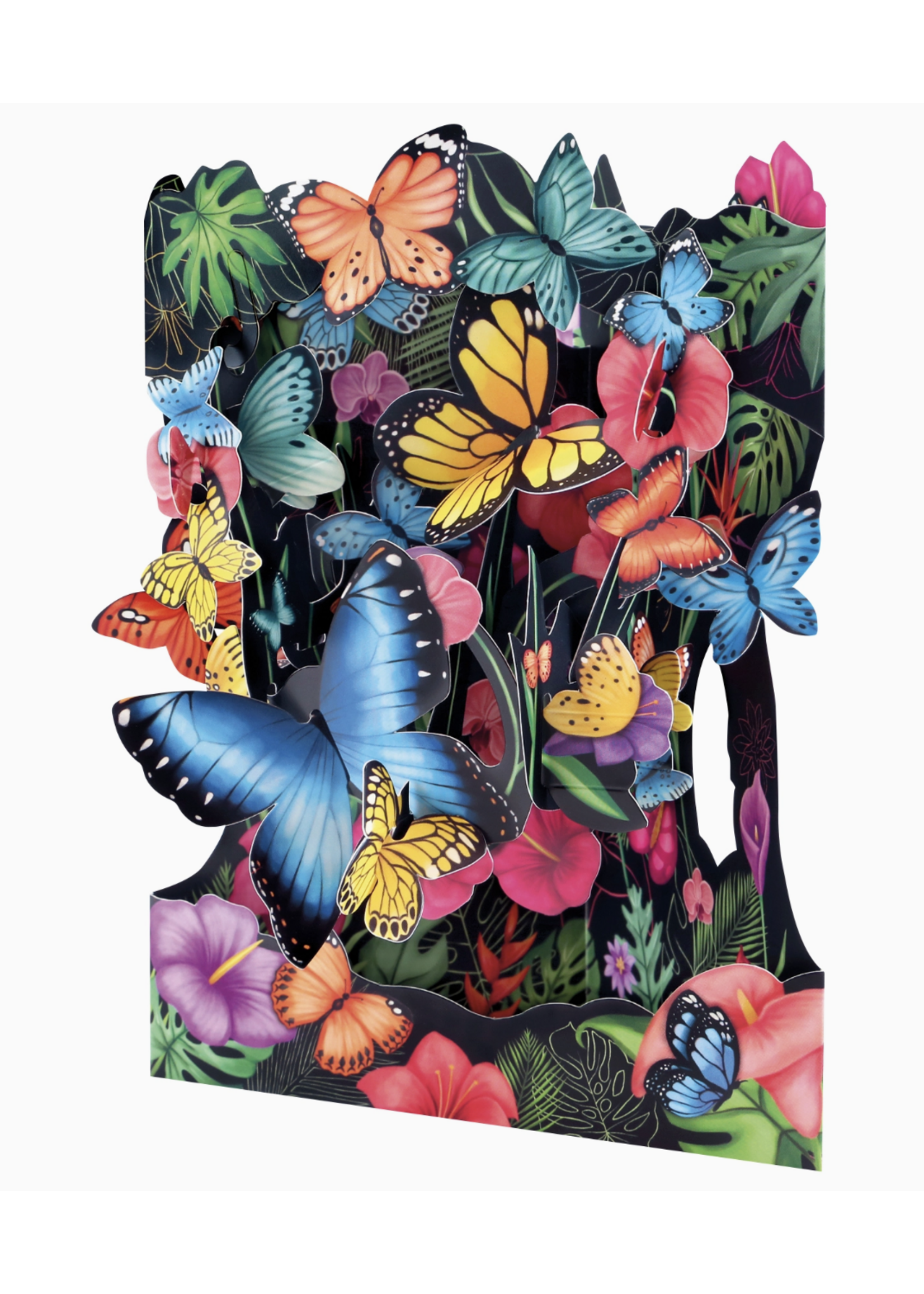 Toysmith Swing Card- Tropical Butterflies
