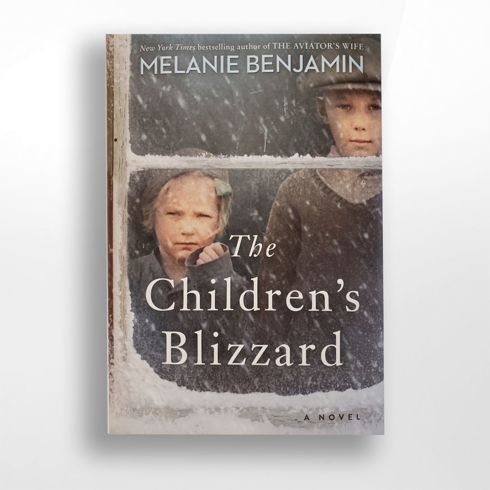 The Children's Blizzard, Melanie Benjamin