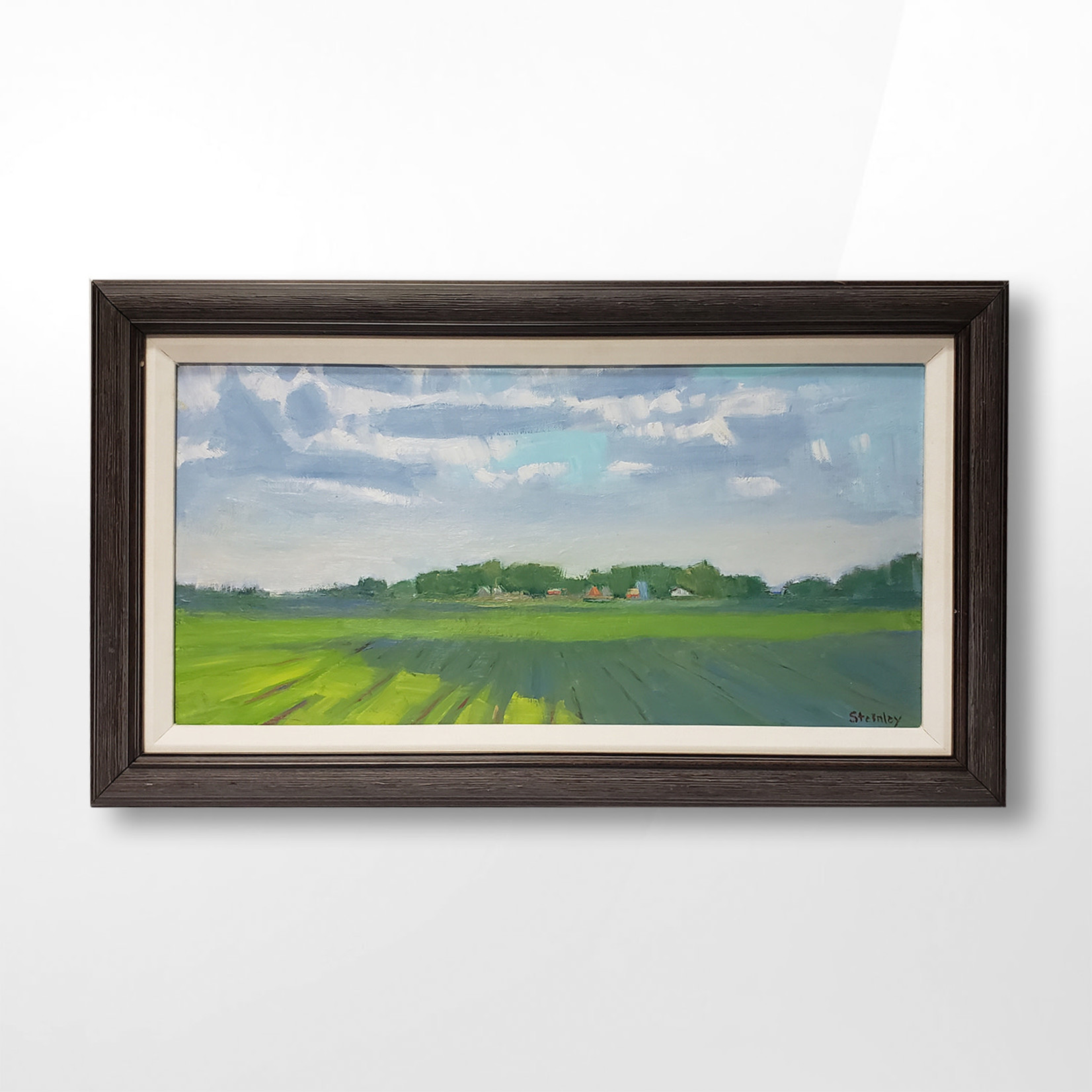 Gary Steinley,  Shapes of a Farmscape