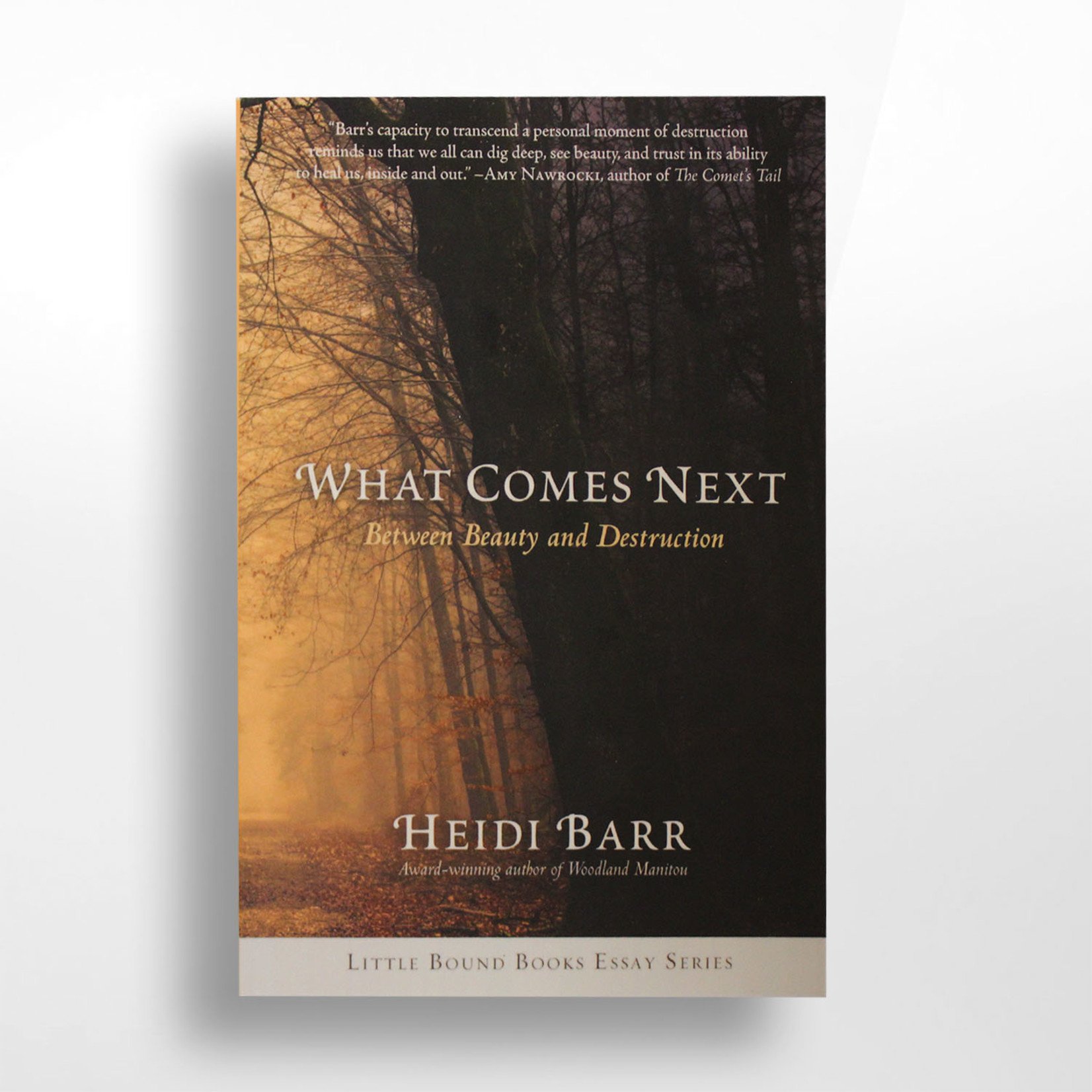 What Comes Next, Heidi Barr