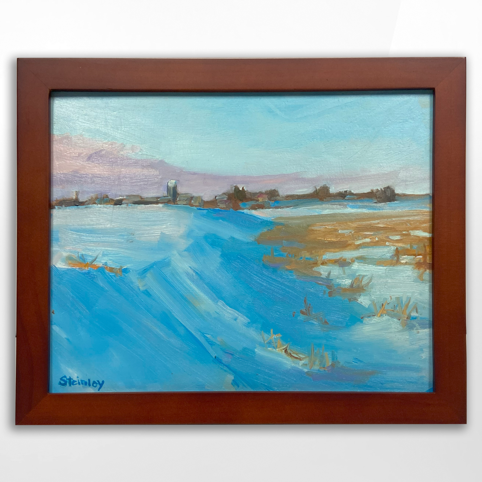 Gary Steinley, A Wintry Look at Home