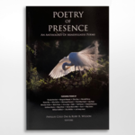 Back Porch Productions Poetry of Presence, Cole-Dai & Wilson