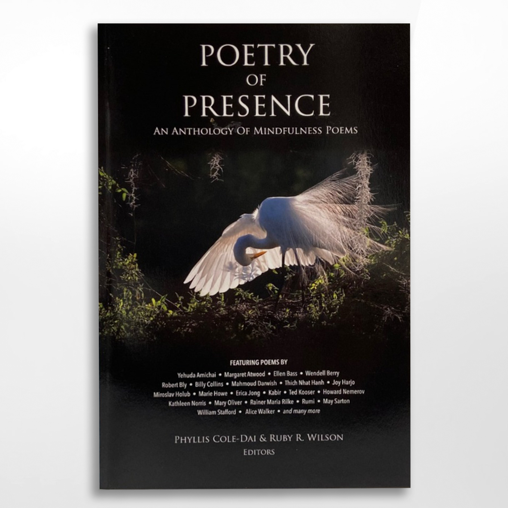 Back Porch Productions Poetry of Presence, Phyllis Cole-Dai & Ruby Wilson