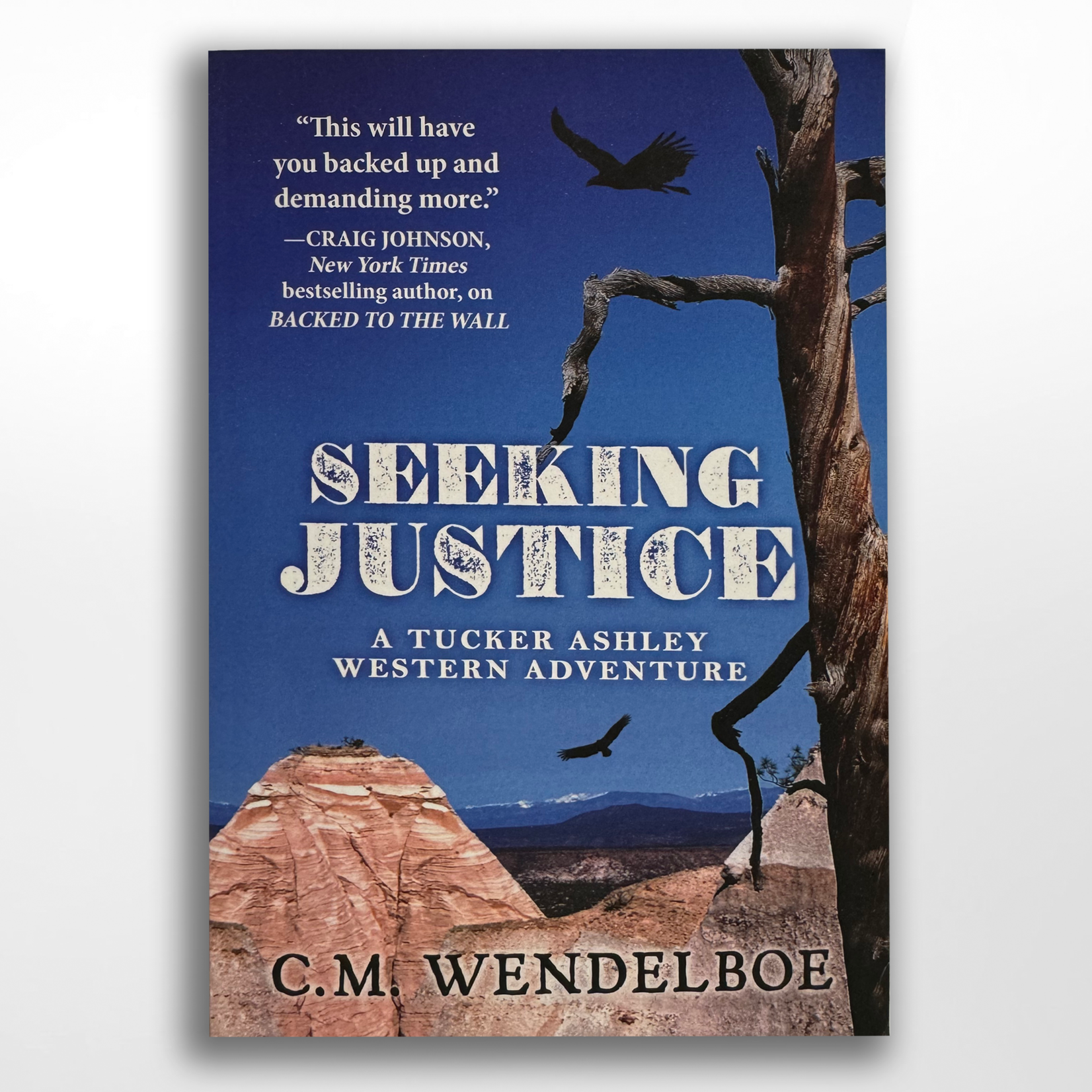 Seeking Justice, C.M. Wendelboe