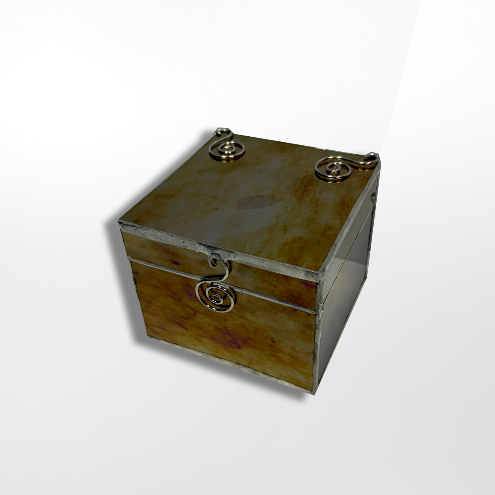 Roxanne Corbett, Glass Box