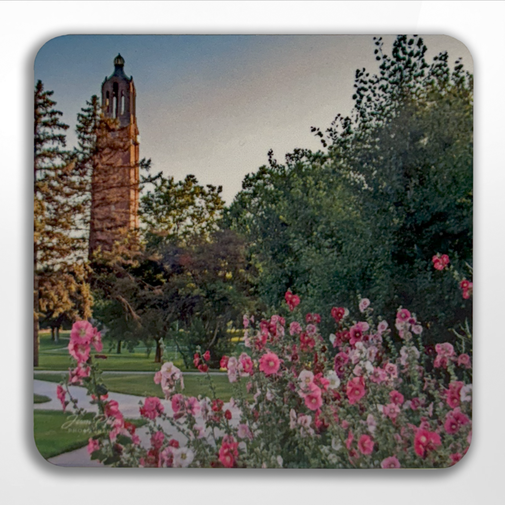 Jason Pfitzer, Campanile Coaster