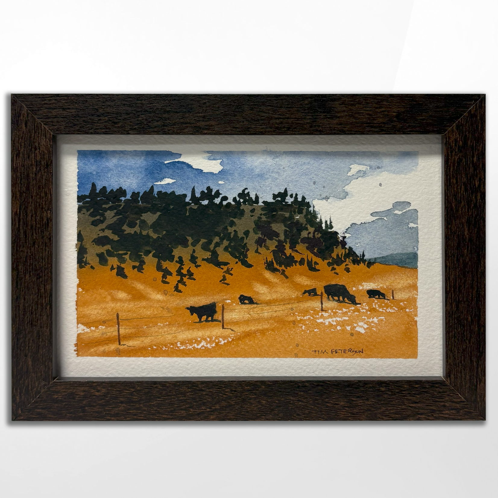 Tim Peterson, Gold Field