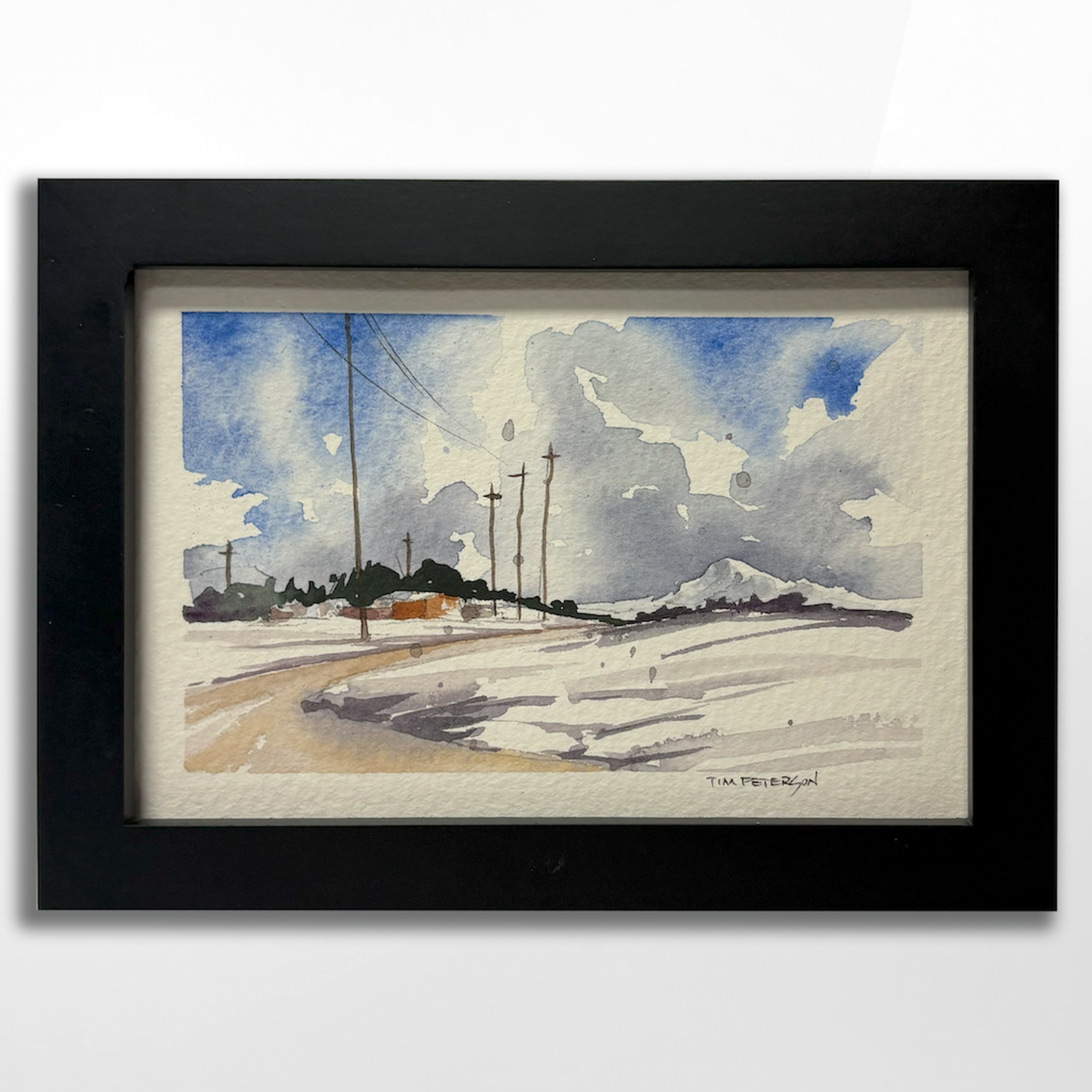 Tim Peterson, Mt. View