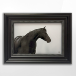 Cristen Joy, Portrait