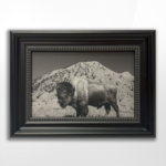 Cristen Joy, Resilient