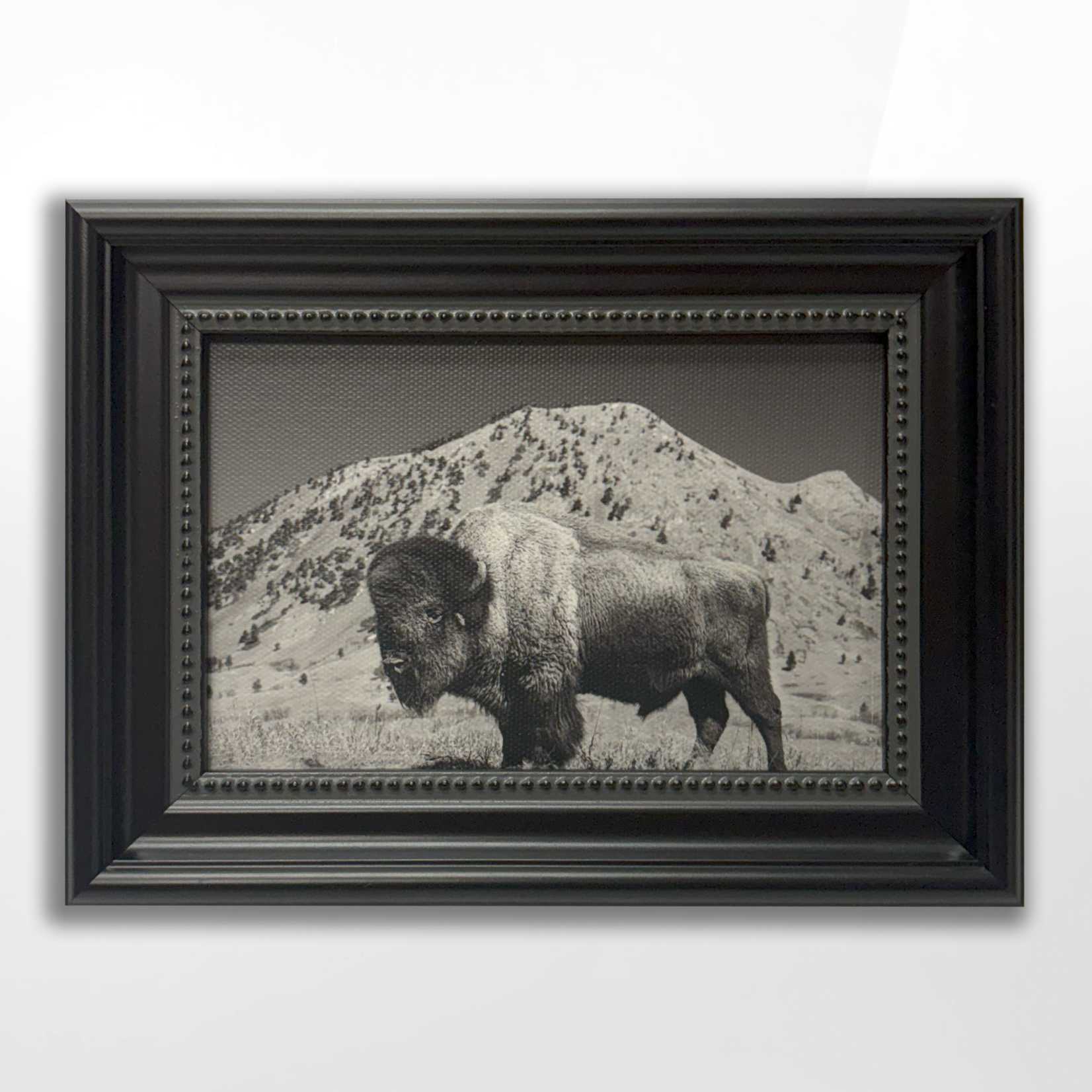 Cristen Joy, Resilient