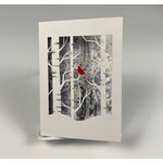 Cards by Anniken,  Birch Forest Note Card
