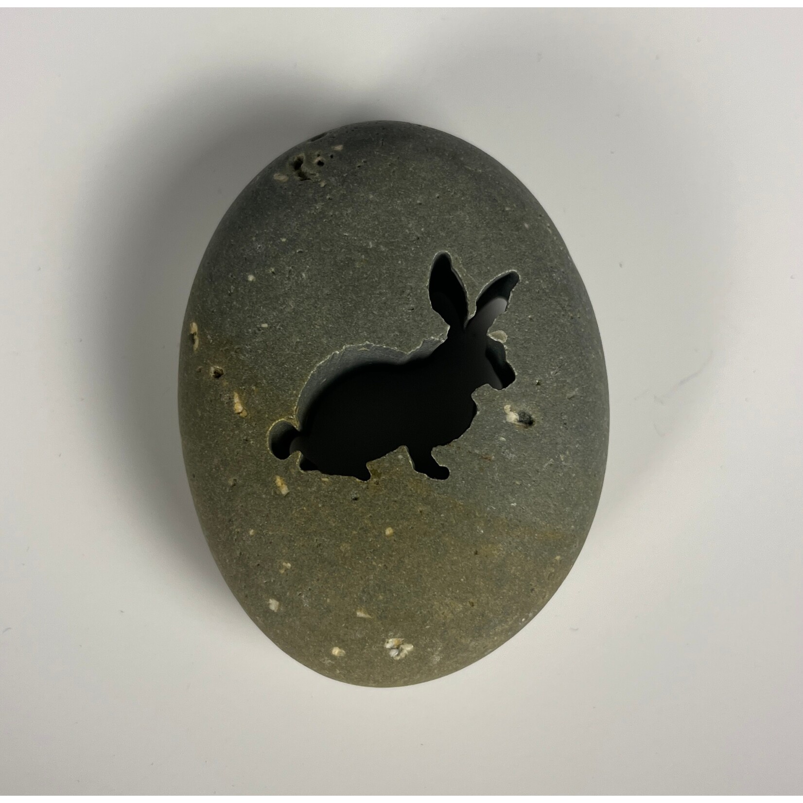 Momadic Momadic, E-Ko-Rock, Bunny