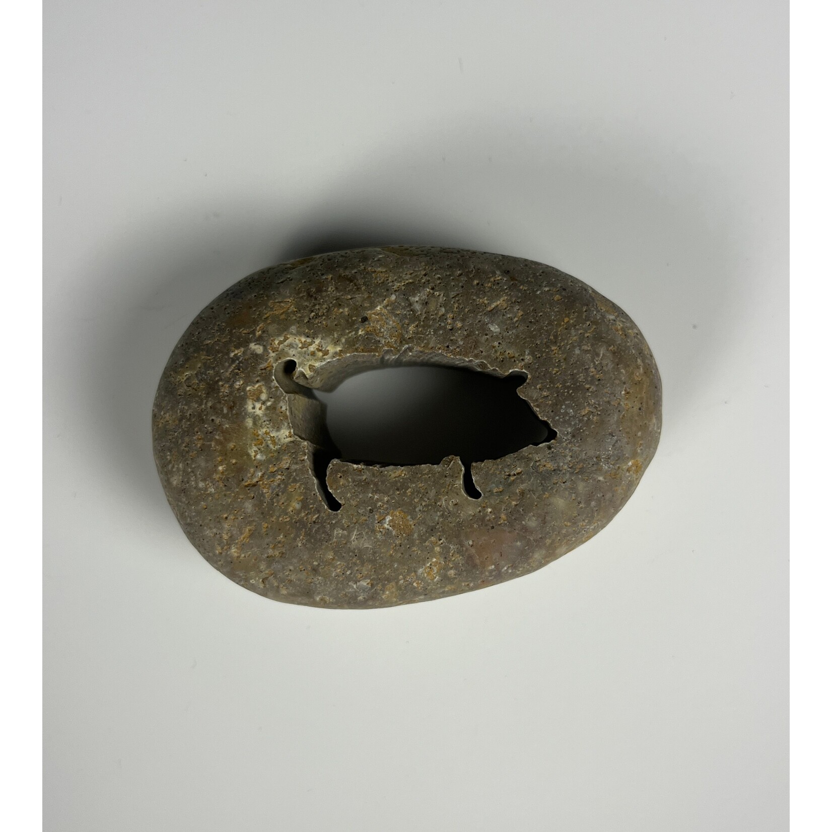 Momadic Momadic, E-Ko-Rock, Pig