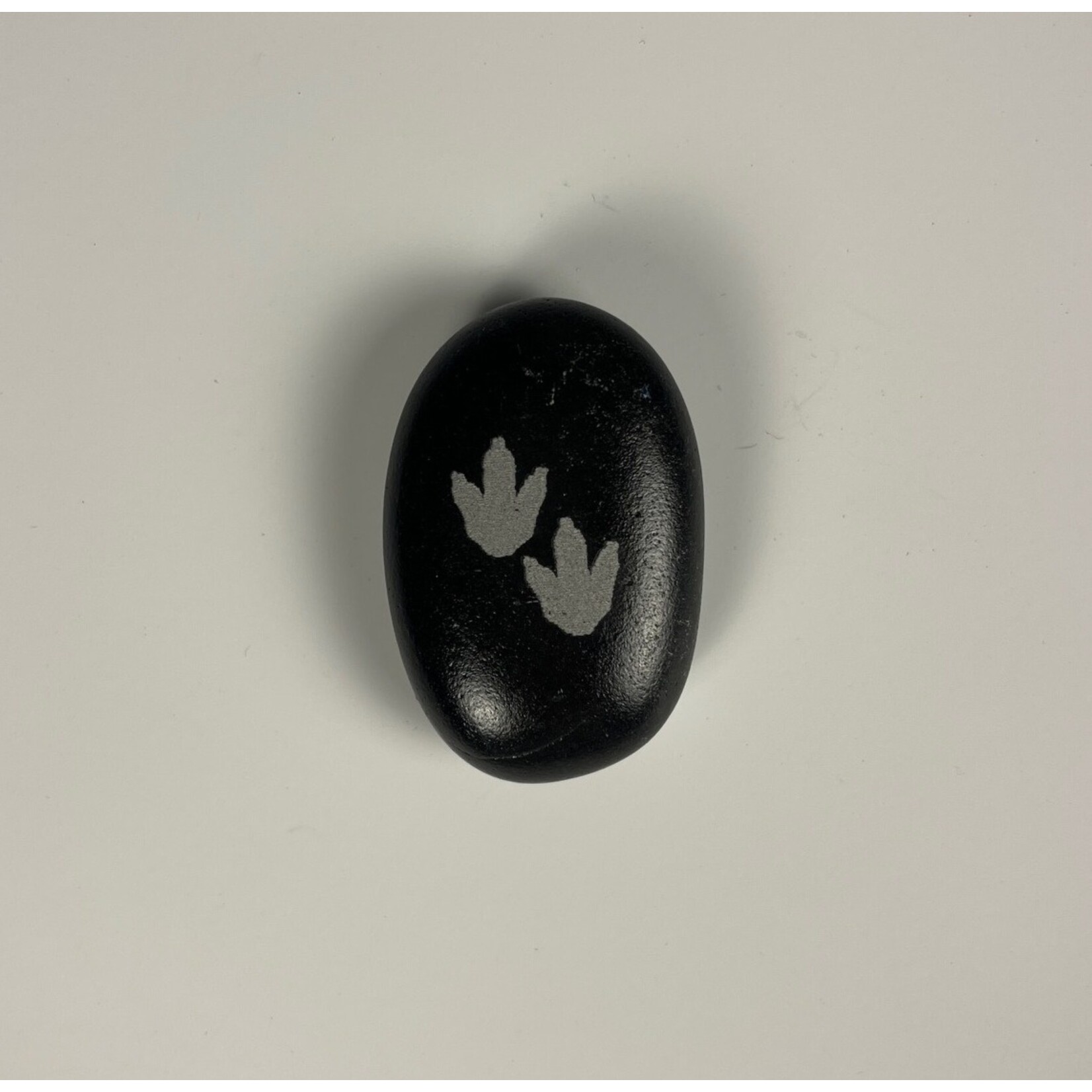 Momadic, MDC019, Etched Rock Magnets, Dino Footprints