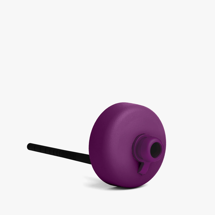 Bivo BIVO - Bidon isolé - Prune