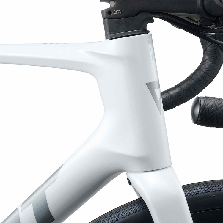 Giant Giant Defy Advanced 2 105 2027 Endurance Road Bike