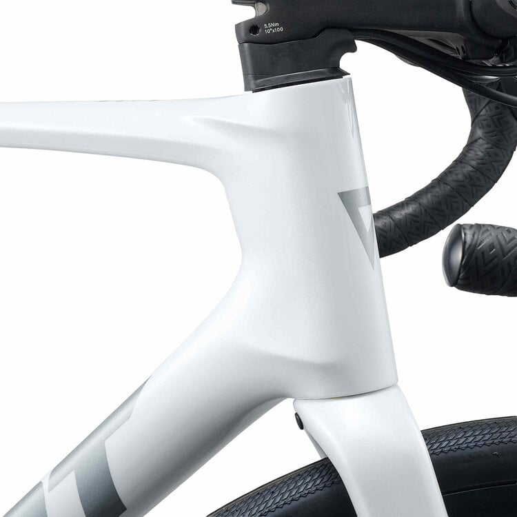 Giant Vélo de route endurance Giant Defy Advanced 2 105 2027