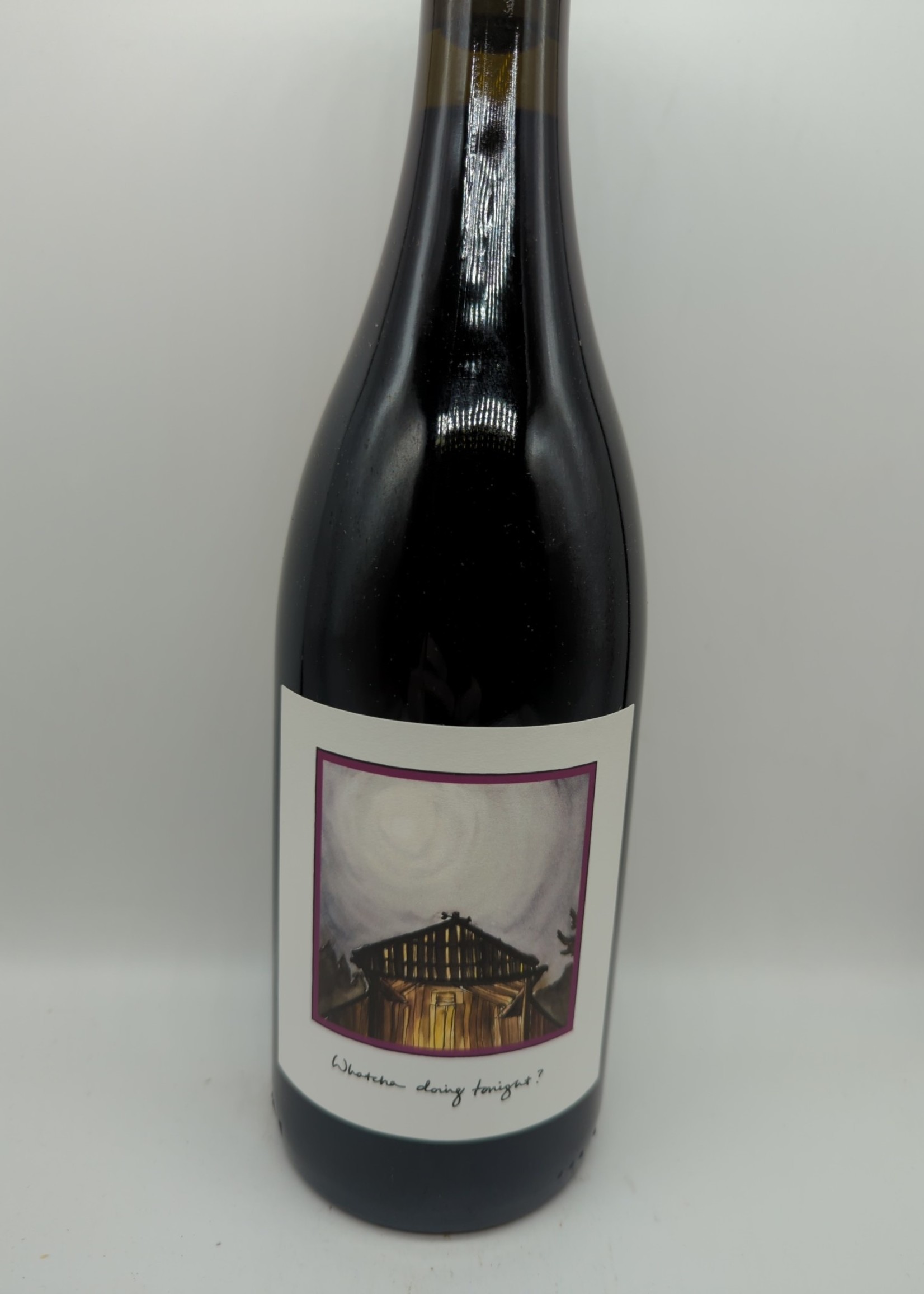 2021 LITTLE TROUBLE CARBONIC ZINFANDEL 750ml