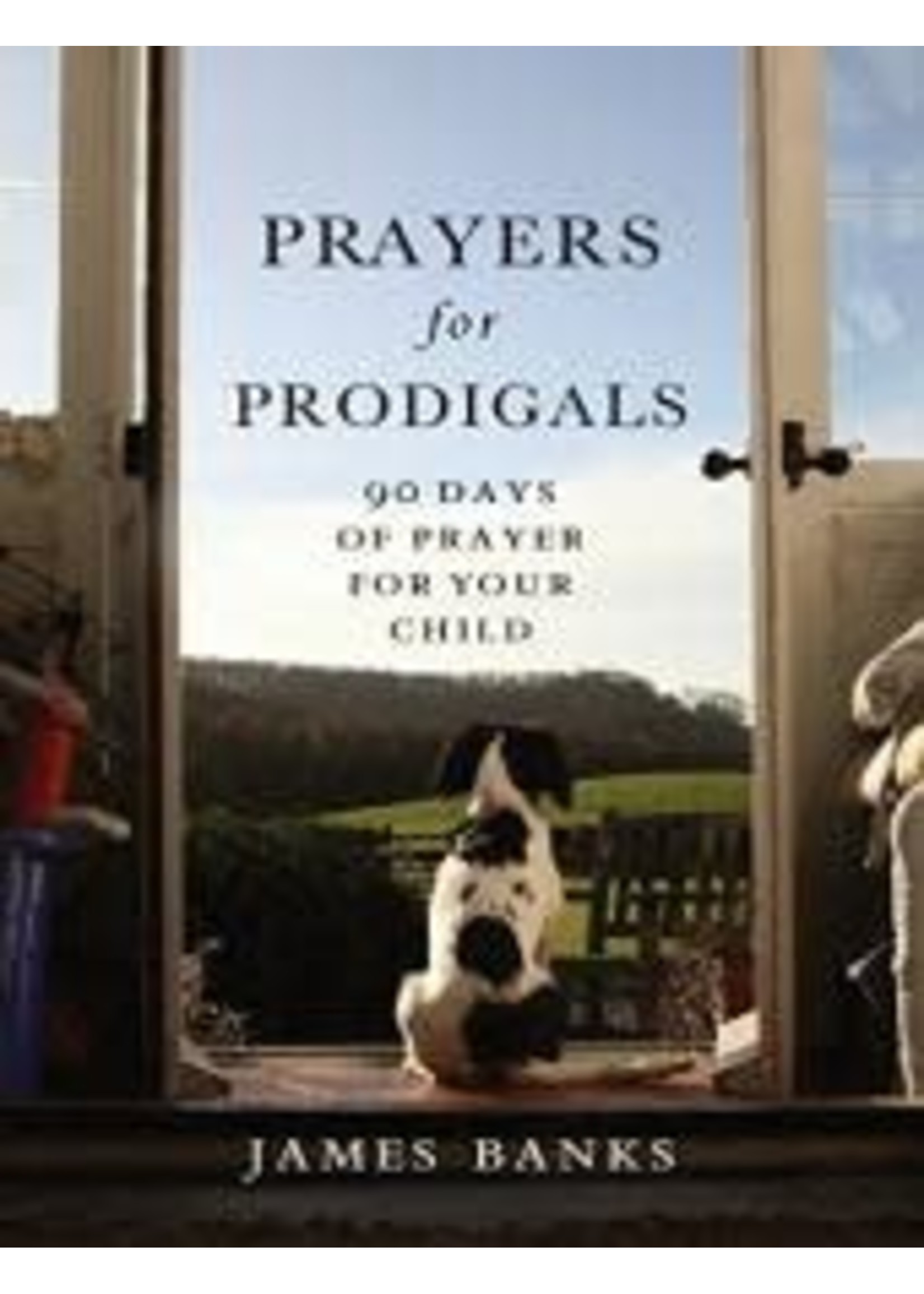 Prayers for Prodigals: 90 Days of Prayer for Your Child