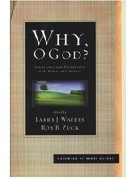 Why, O God? Suffering and Disability in the Bible and the Church
