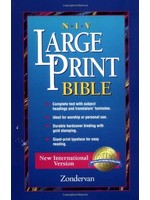 NIV  Worship Bible Large Print