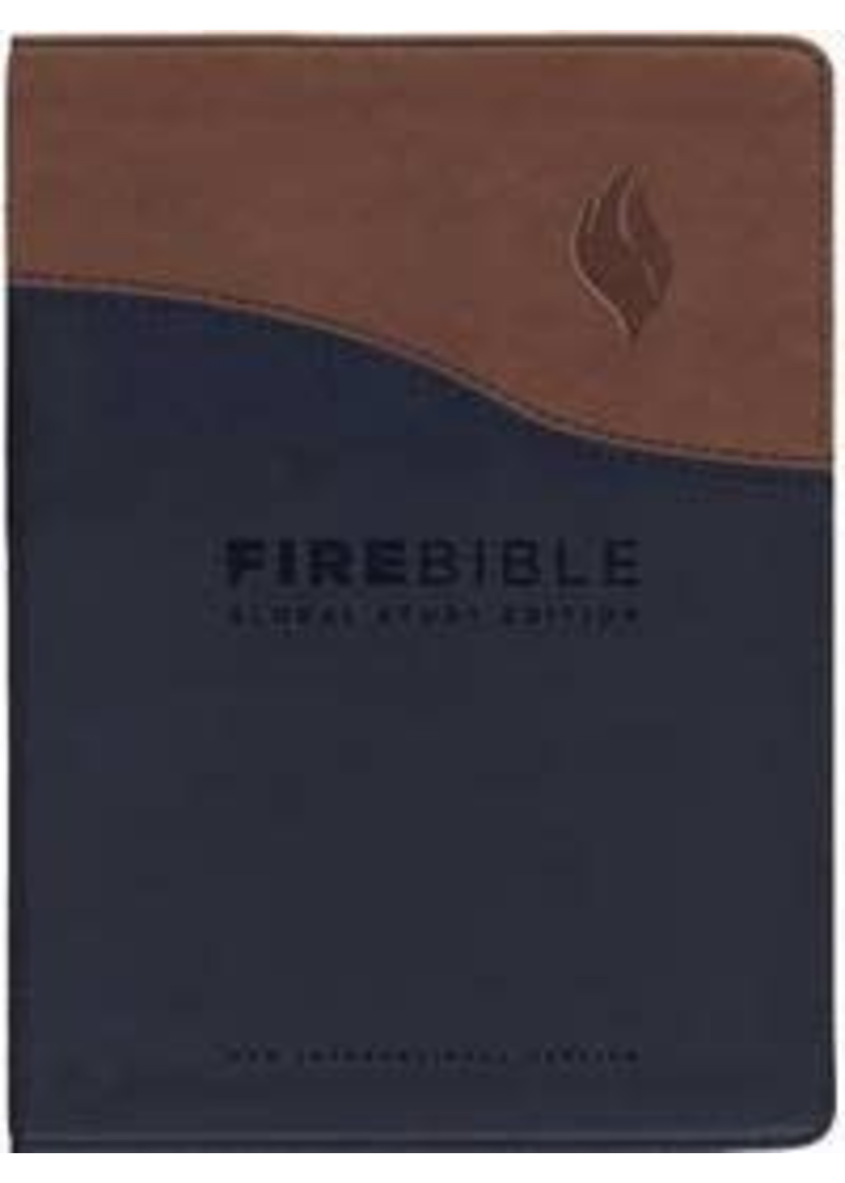 NIV Fire Bible Global Study Edition