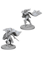 Pathfinder Pathfinder Deep Cuts Unpainted Miniatures: W4 Elf Female Paladin