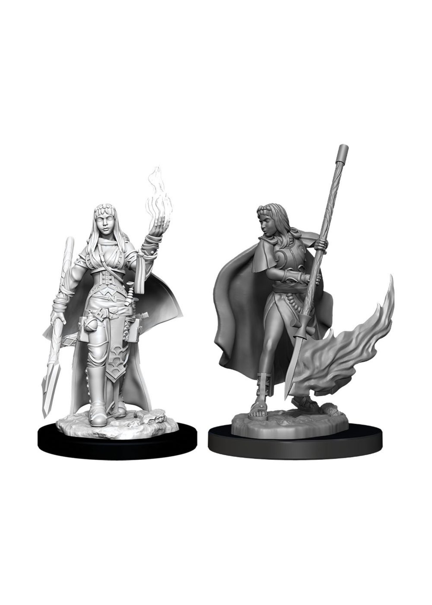 Pathfinder Pathfinder Deep Cuts Unpainted Miniatures: W11 Female Human Oracle (Magic User)